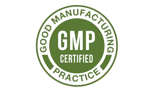 Synadentix GMP Certified